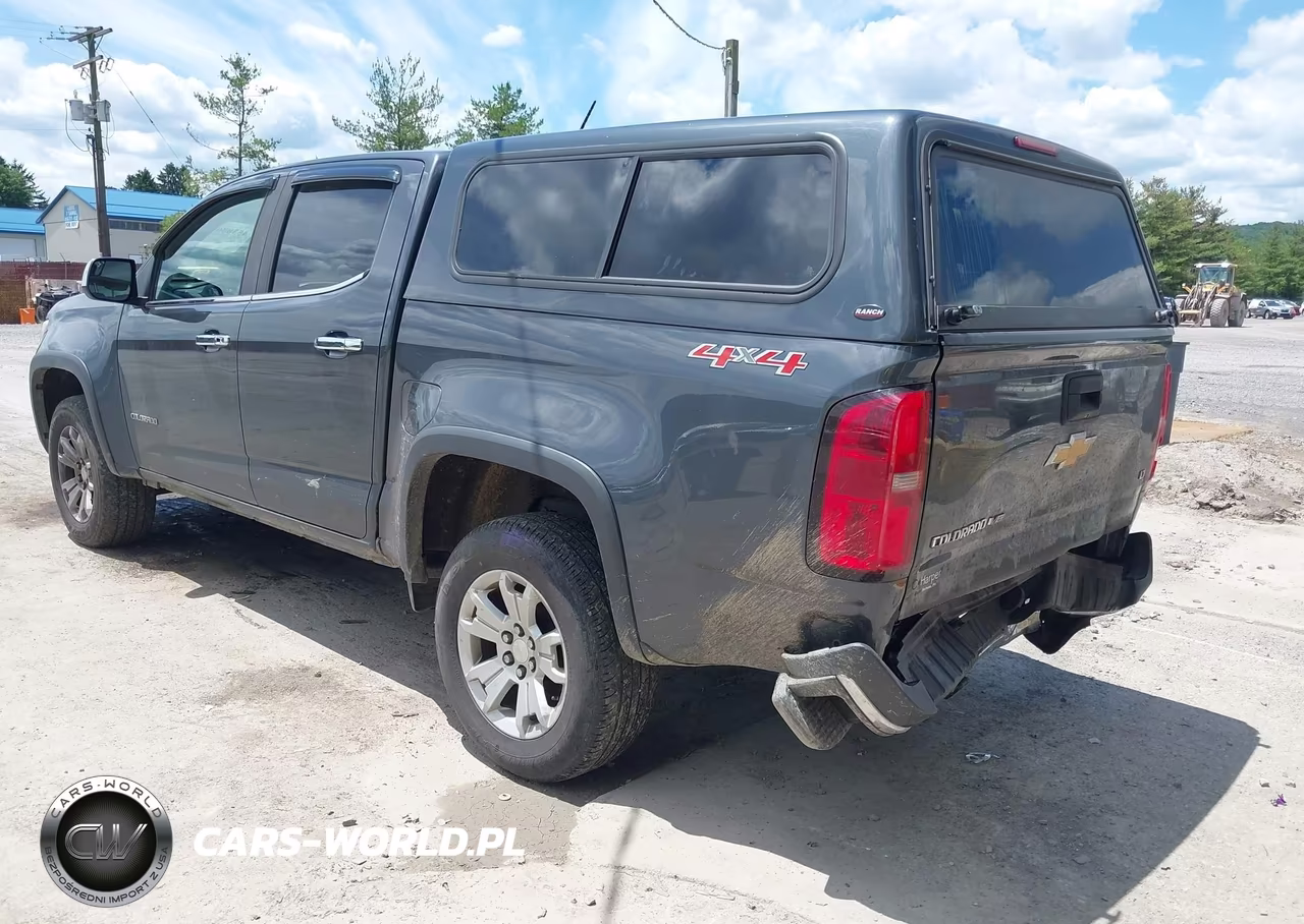 2017 Chevrolet Colorado 4Wd Lt VIN:1GCGTCEN2H1231919 - 17