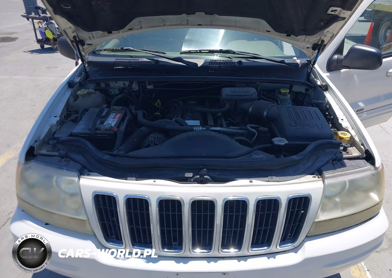 2003 Jeep Grand Cherokee Limited VIN:1J4GX58S33C535348 - 10