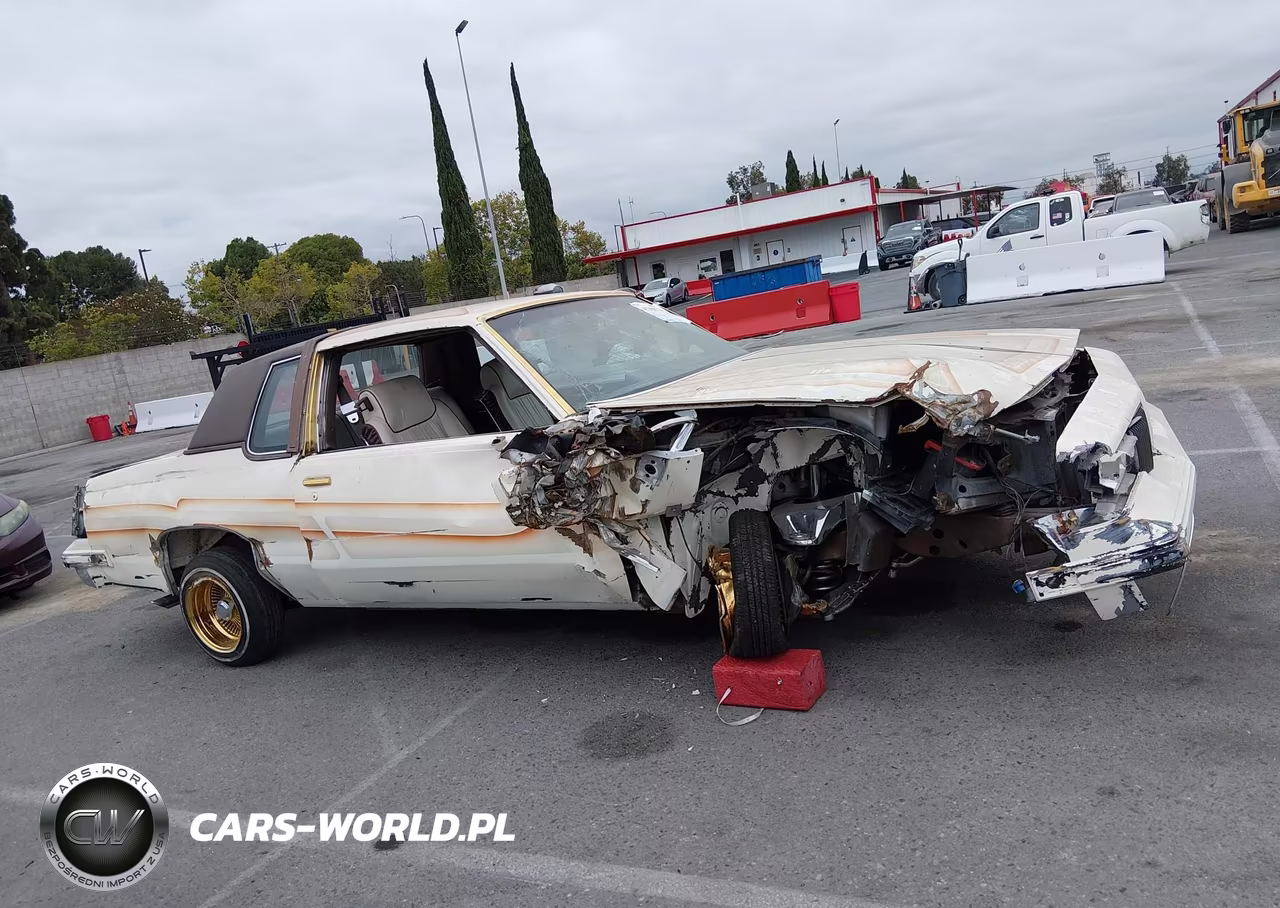1984 Oldsmobile Cutlass Supreme VIN:1G3AR47A6ER327523 - 13