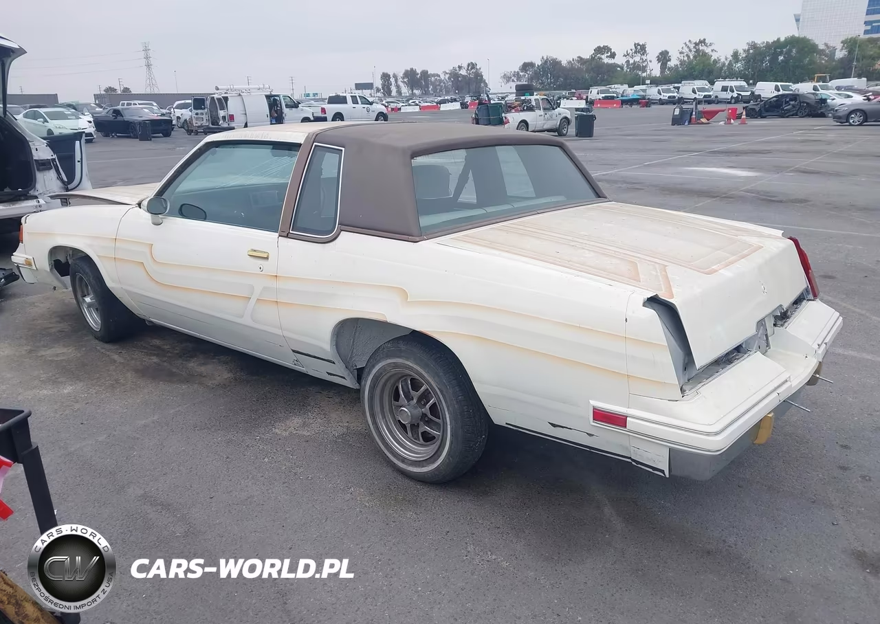 1984 Oldsmobile Cutlass Supreme VIN:1G3AR47A6ER327523 - 3