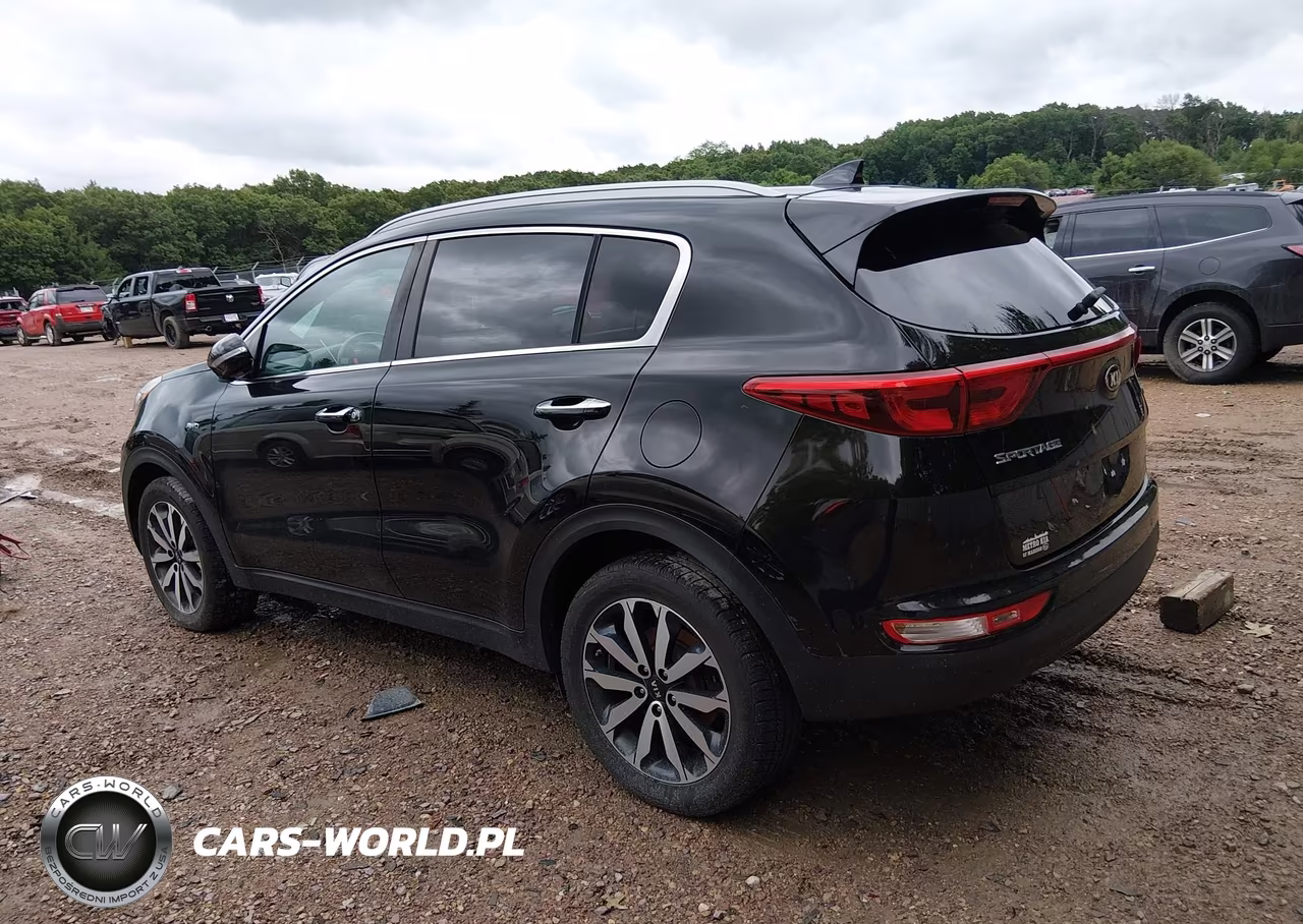 2017 Kia Sportage Ex VIN:KNDPNCAC4H7111955 - 3
