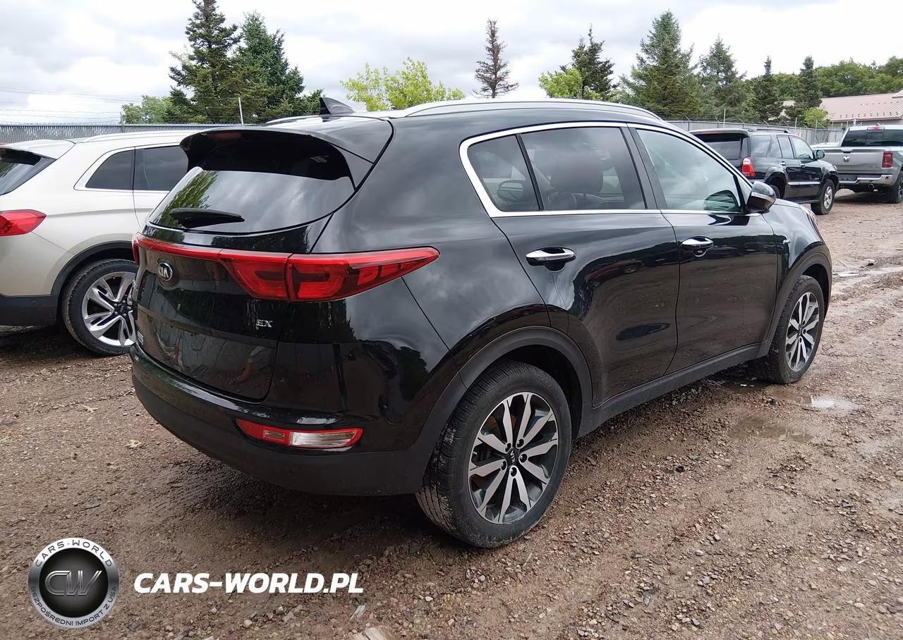 2017 Kia Sportage Ex VIN:KNDPNCAC4H7111955 - 4