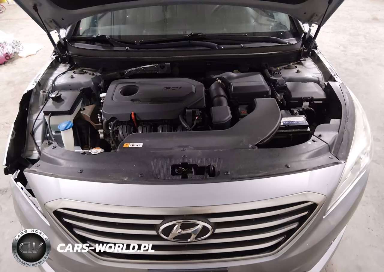 2016 Hyundai Sonata Se VIN:5NPE24AF8GH274053 - 10