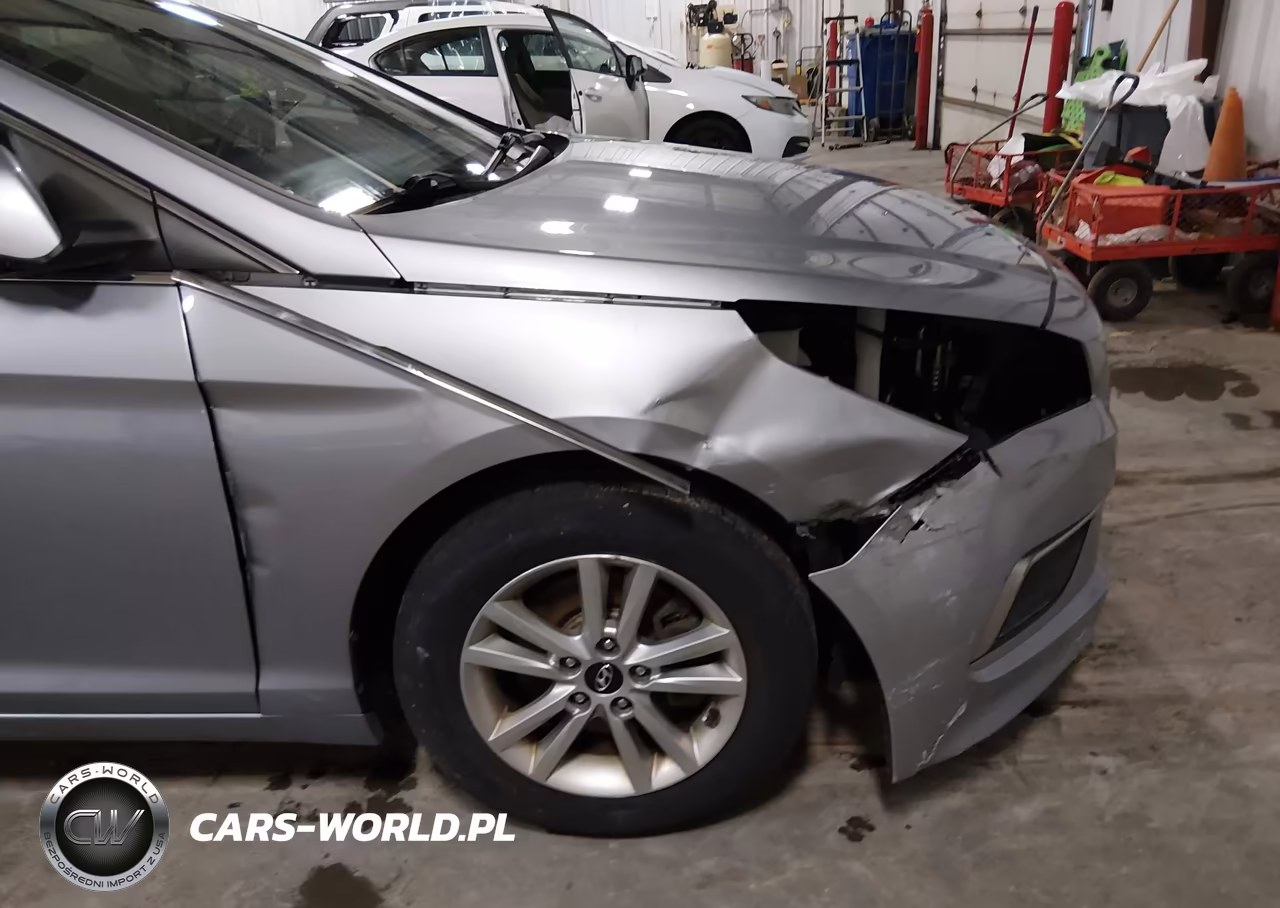 2016 Hyundai Sonata Se VIN:5NPE24AF8GH274053 - 6