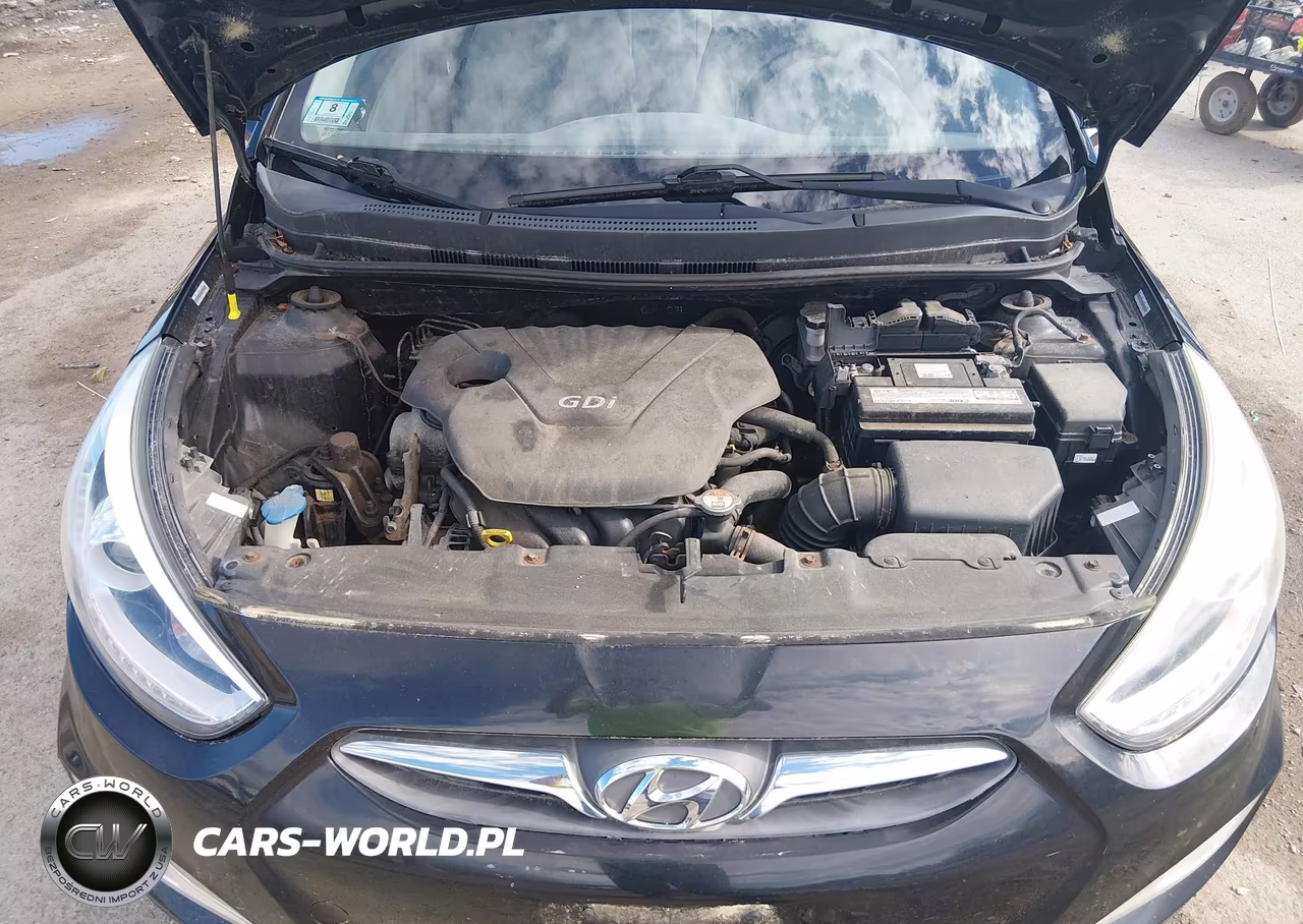 2014 Hyundai Accent Se VIN:KMHCU5AE0EU175272 - 10