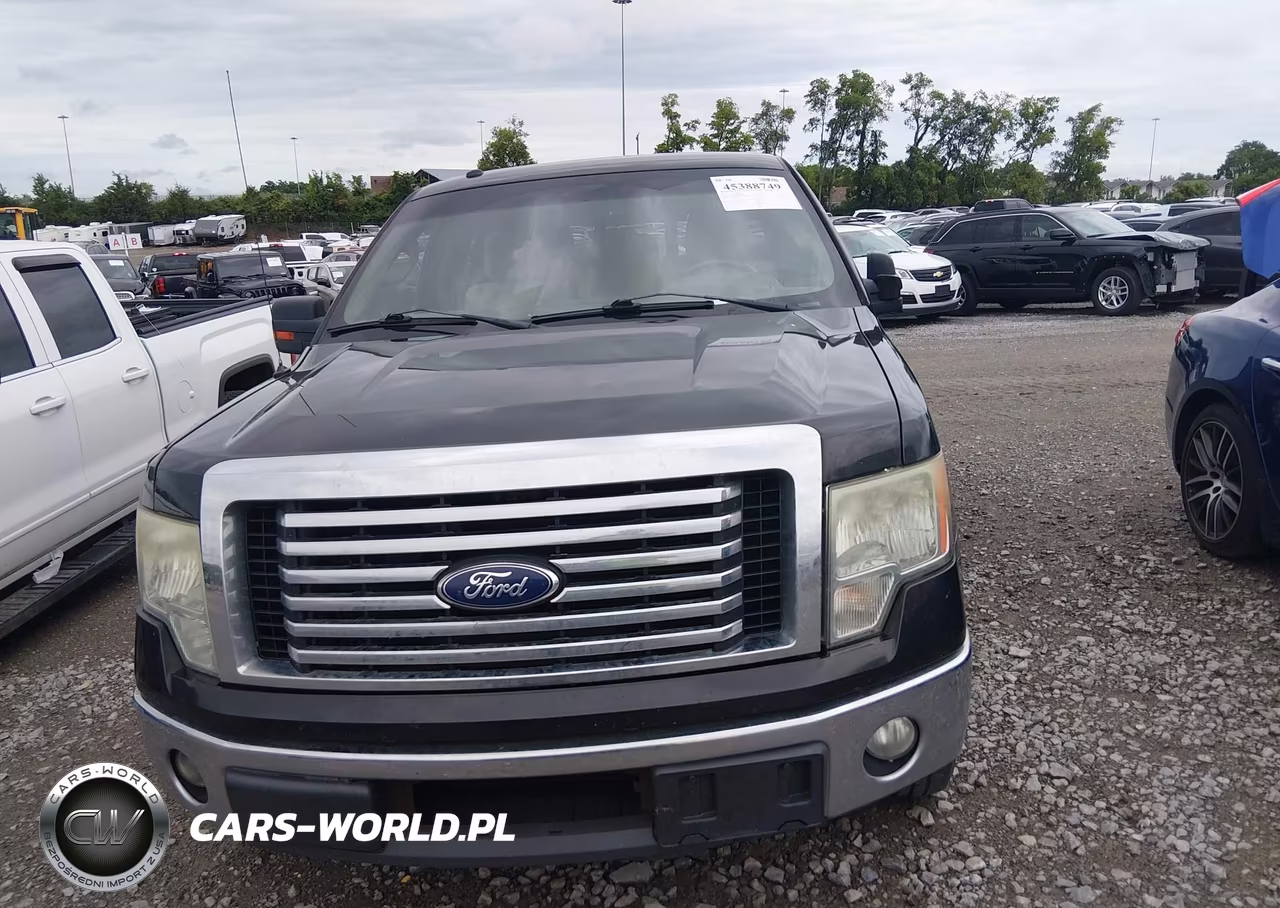 2011 Ford F-150 Xlt VIN:1FTFW1CT4BFB00204 - 12