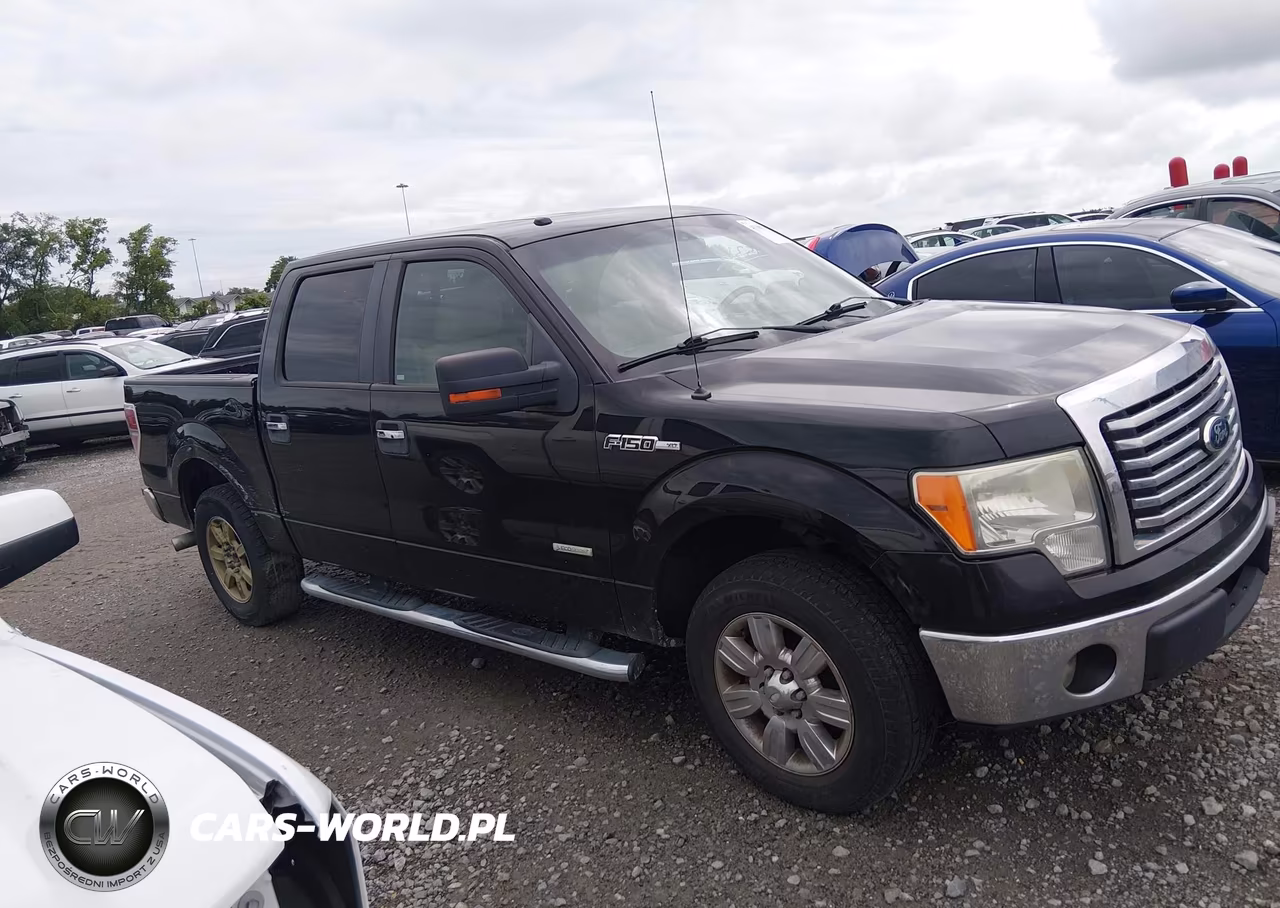 2011 Ford F-150 Xlt VIN:1FTFW1CT4BFB00204 - 13