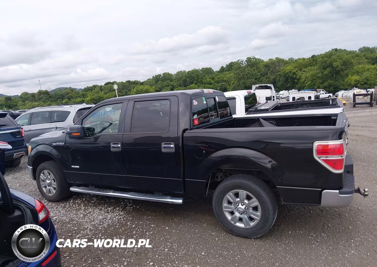 2011 Ford F-150 Xlt VIN:1FTFW1CT4BFB00204 - 14