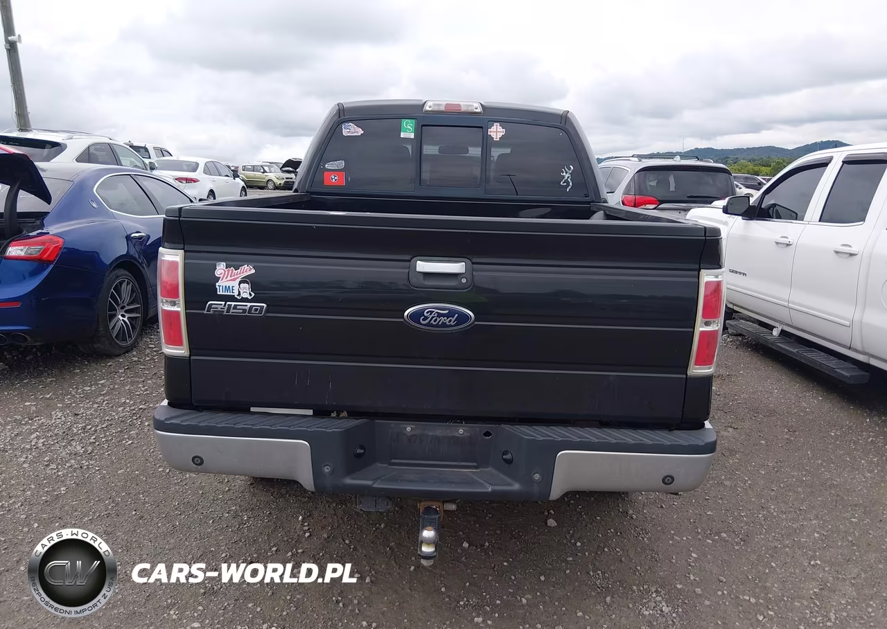 2011 Ford F-150 Xlt VIN:1FTFW1CT4BFB00204 - 16