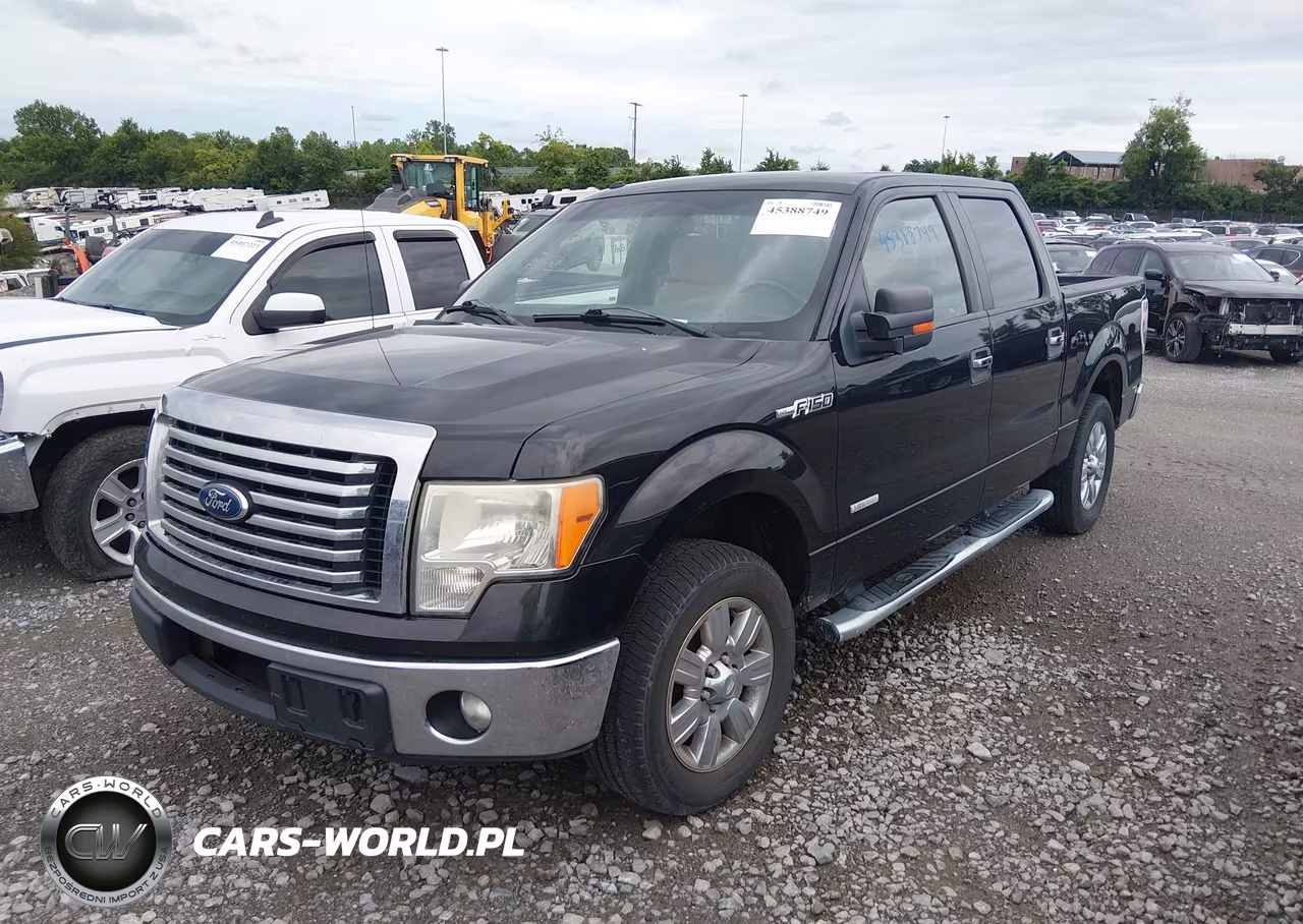 2011 Ford F-150 Xlt VIN:1FTFW1CT4BFB00204 - 2
