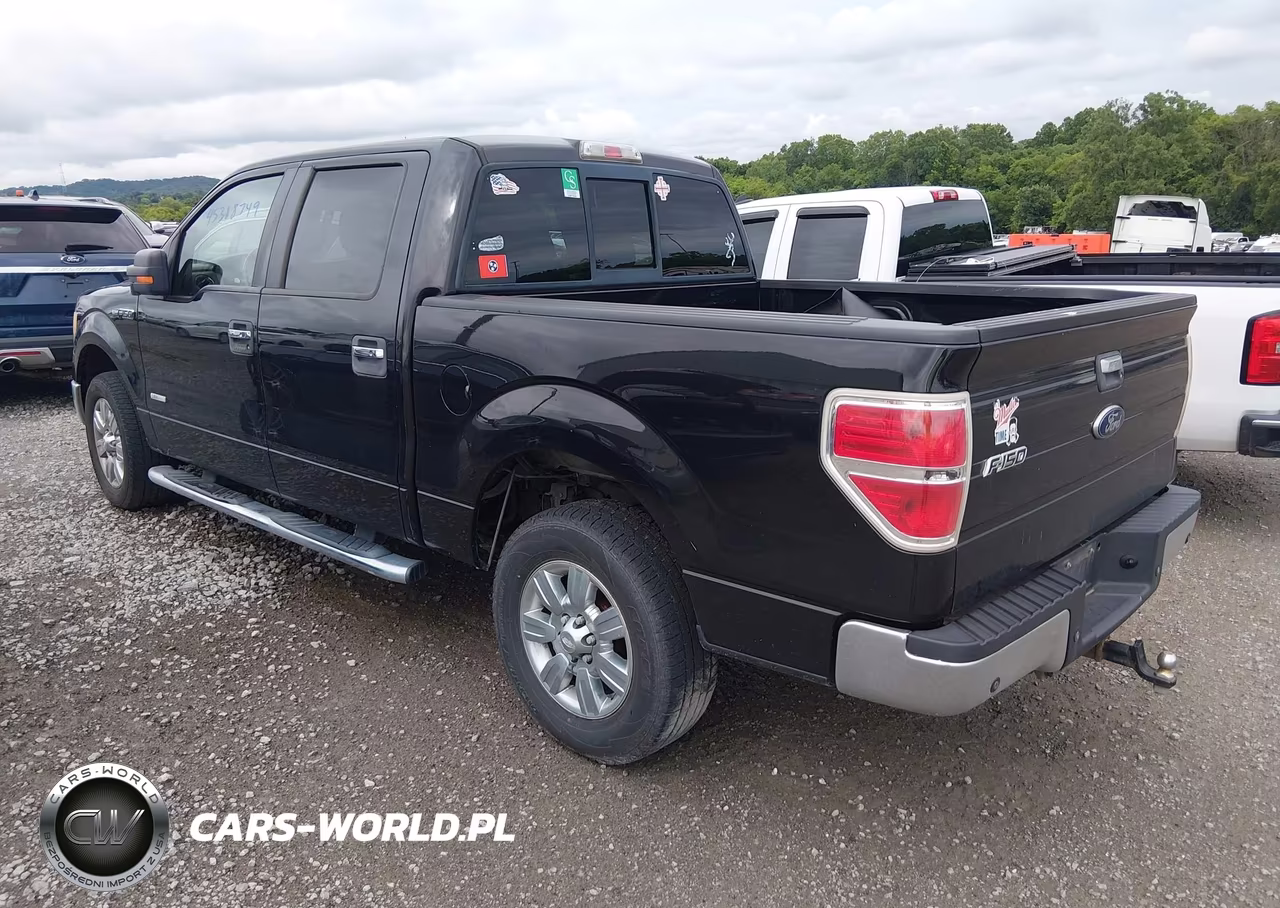 2011 Ford F-150 Xlt VIN:1FTFW1CT4BFB00204 - 3