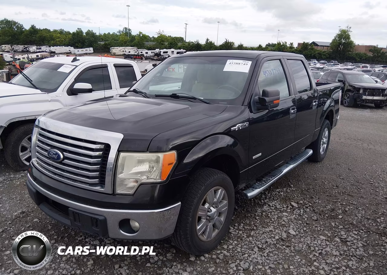 2011 Ford F-150 Xlt VIN:1FTFW1CT4BFB00204 - 6