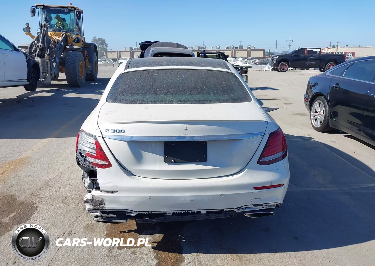 2019 Mercedes-Benz E 300 VIN:WDDZF4JB2KA617867 - 16