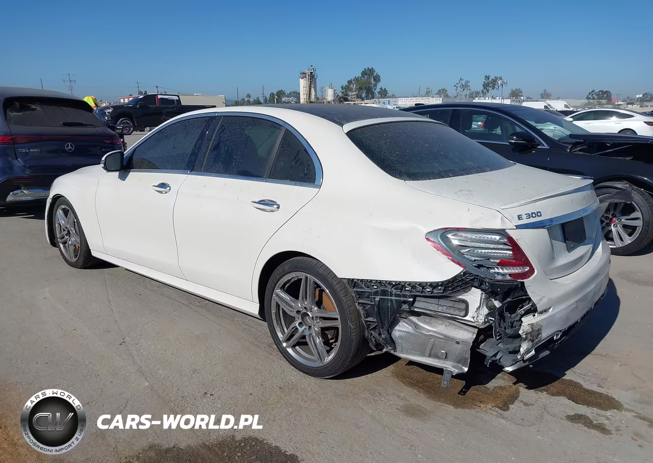 2019 Mercedes-Benz E 300 VIN:WDDZF4JB2KA617867 - 3