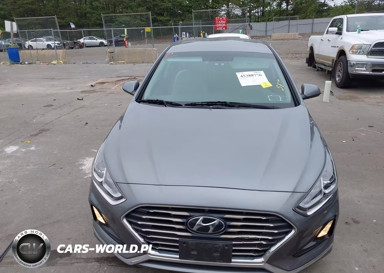 2019 Hyundai Sonata Se VIN:5NPE24AF4KH793111 - 12