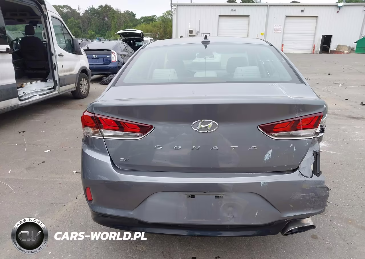 2019 Hyundai Sonata Se VIN:5NPE24AF4KH793111 - 16