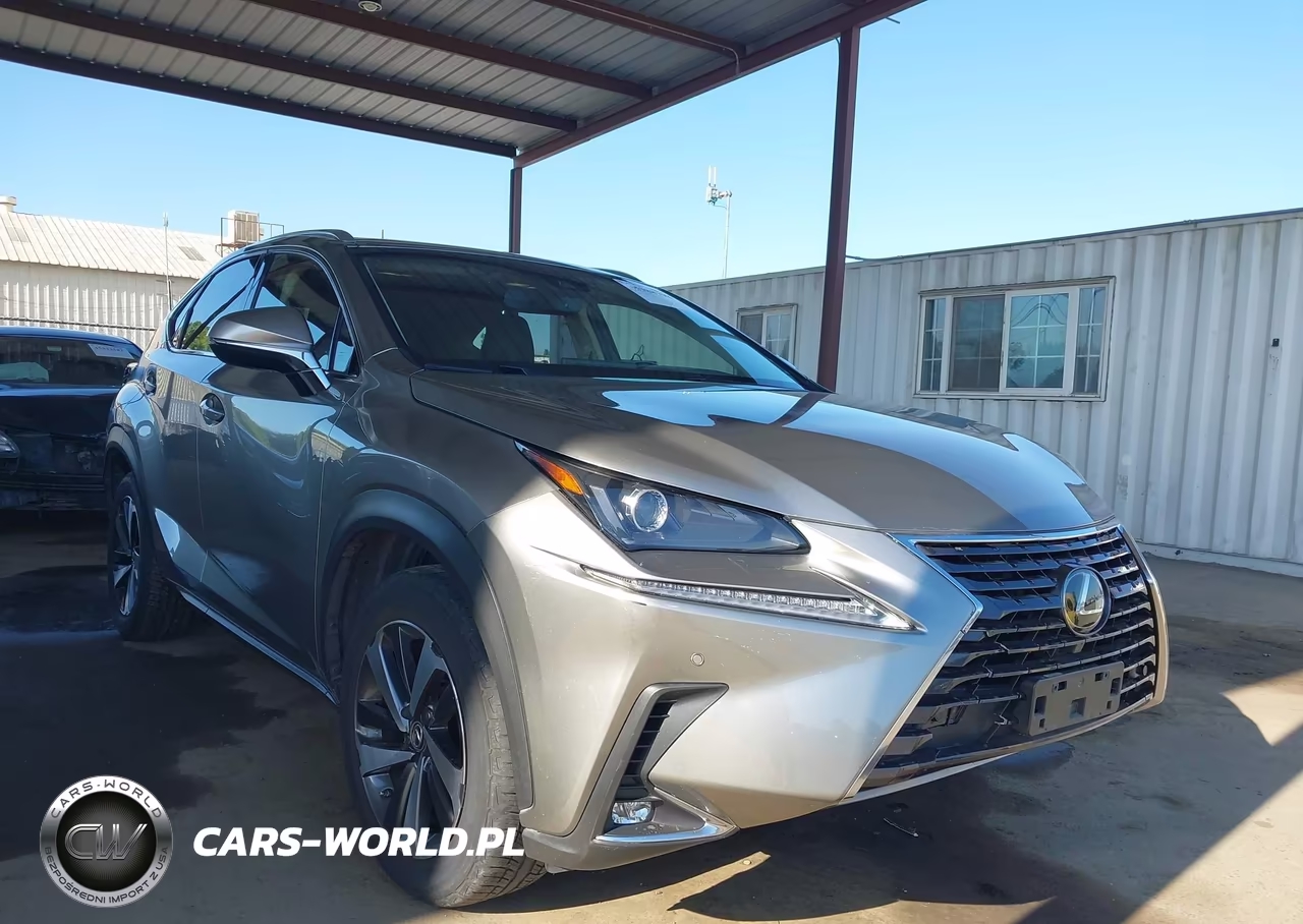2018 Lexus Nx 300 – zdjęcie 1 z 16