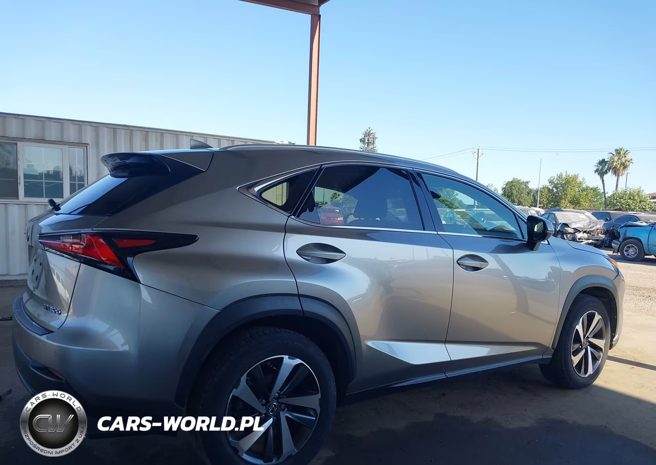 2018 Lexus Nx 300 VIN:JTJBARBZ2J2151205 - 13
