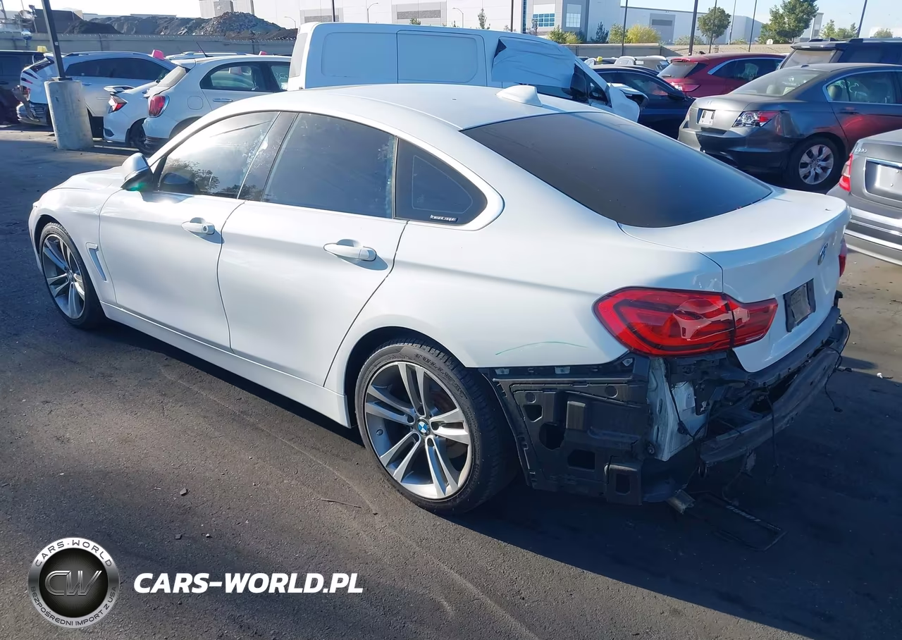 2019 BMW 430I Gran Coupe VIN:WBA4J1C55KBM16156 - 3