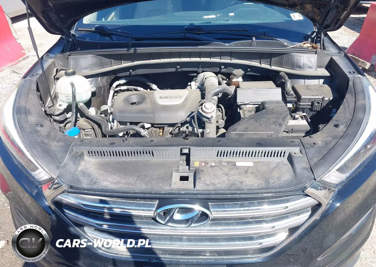 2017 Hyundai Tucson Limited VIN:KM8J3CA21HU406513 - 10