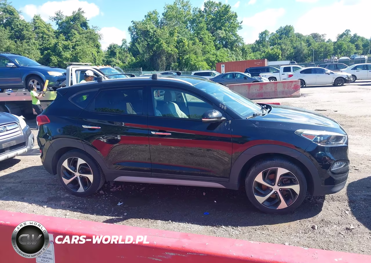 2017 Hyundai Tucson Limited VIN:KM8J3CA21HU406513 - 13