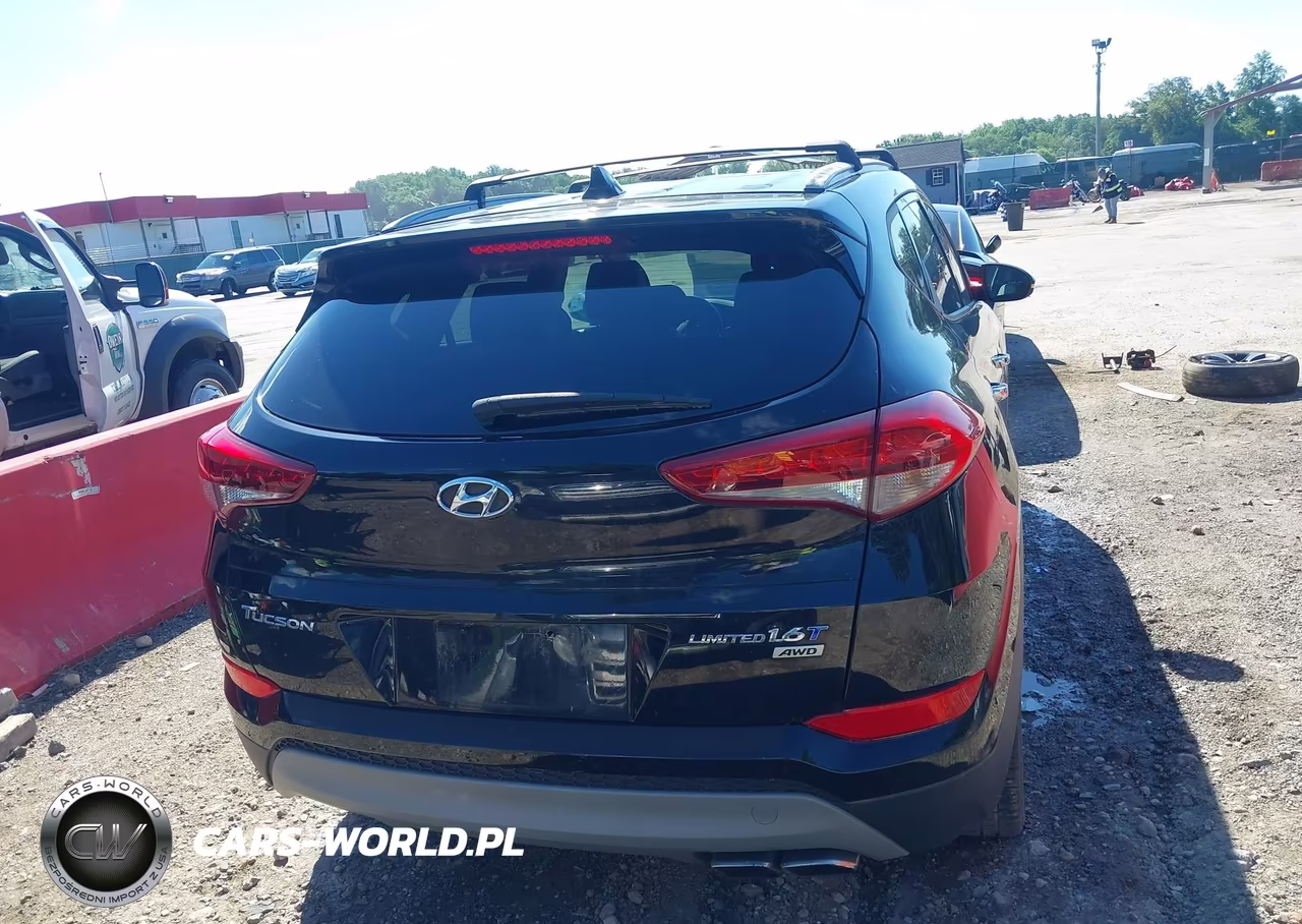 2017 Hyundai Tucson Limited VIN:KM8J3CA21HU406513 - 16
