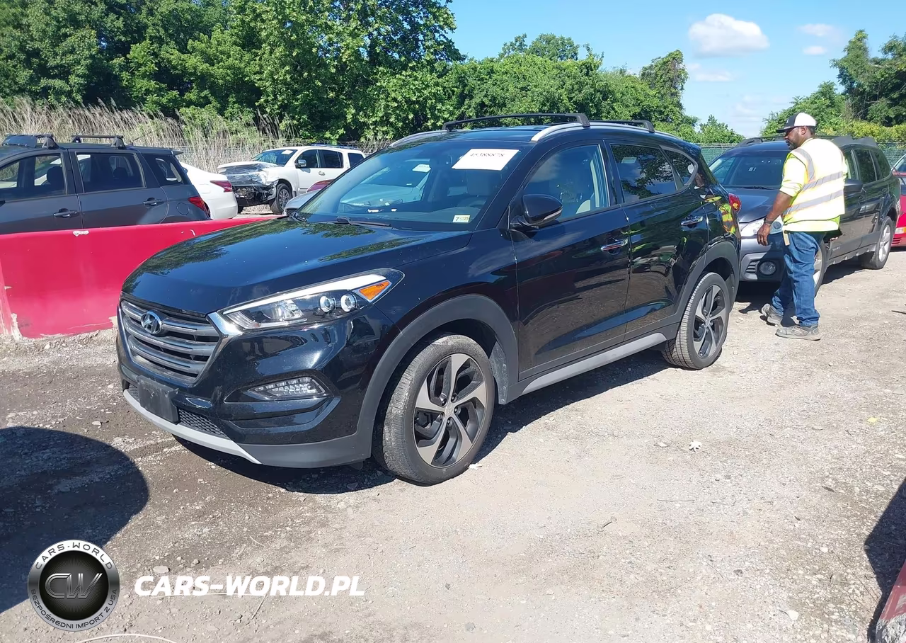 2017 Hyundai Tucson Limited VIN:KM8J3CA21HU406513 - 2