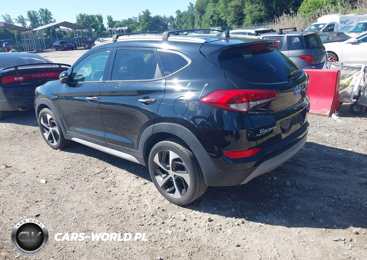 2017 Hyundai Tucson Limited VIN:KM8J3CA21HU406513 - 3