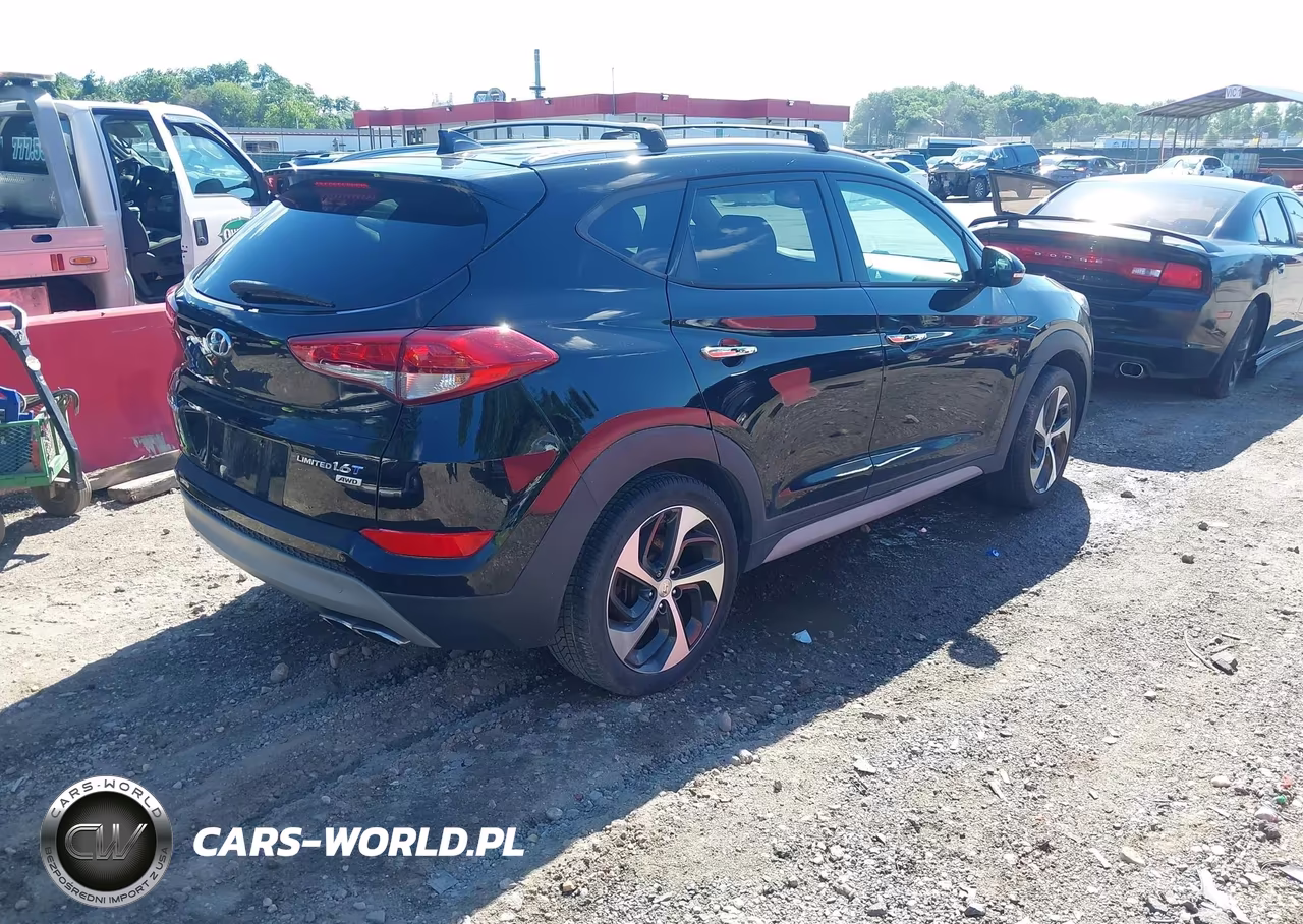 2017 Hyundai Tucson Limited VIN:KM8J3CA21HU406513 - 4