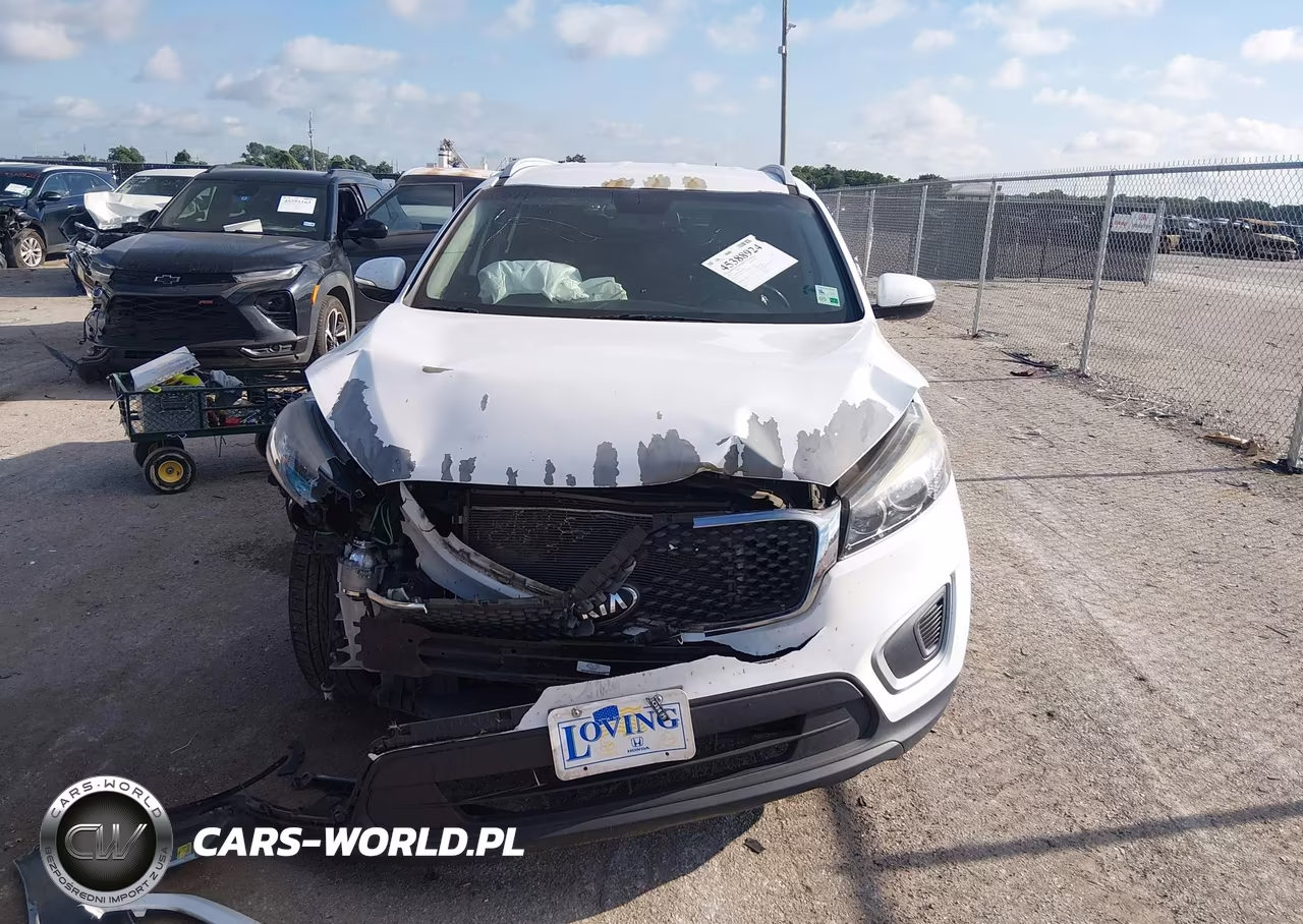 2018 Kia Sorento 2.4L Lx VIN:5XYPG4A30JG384948 - 12