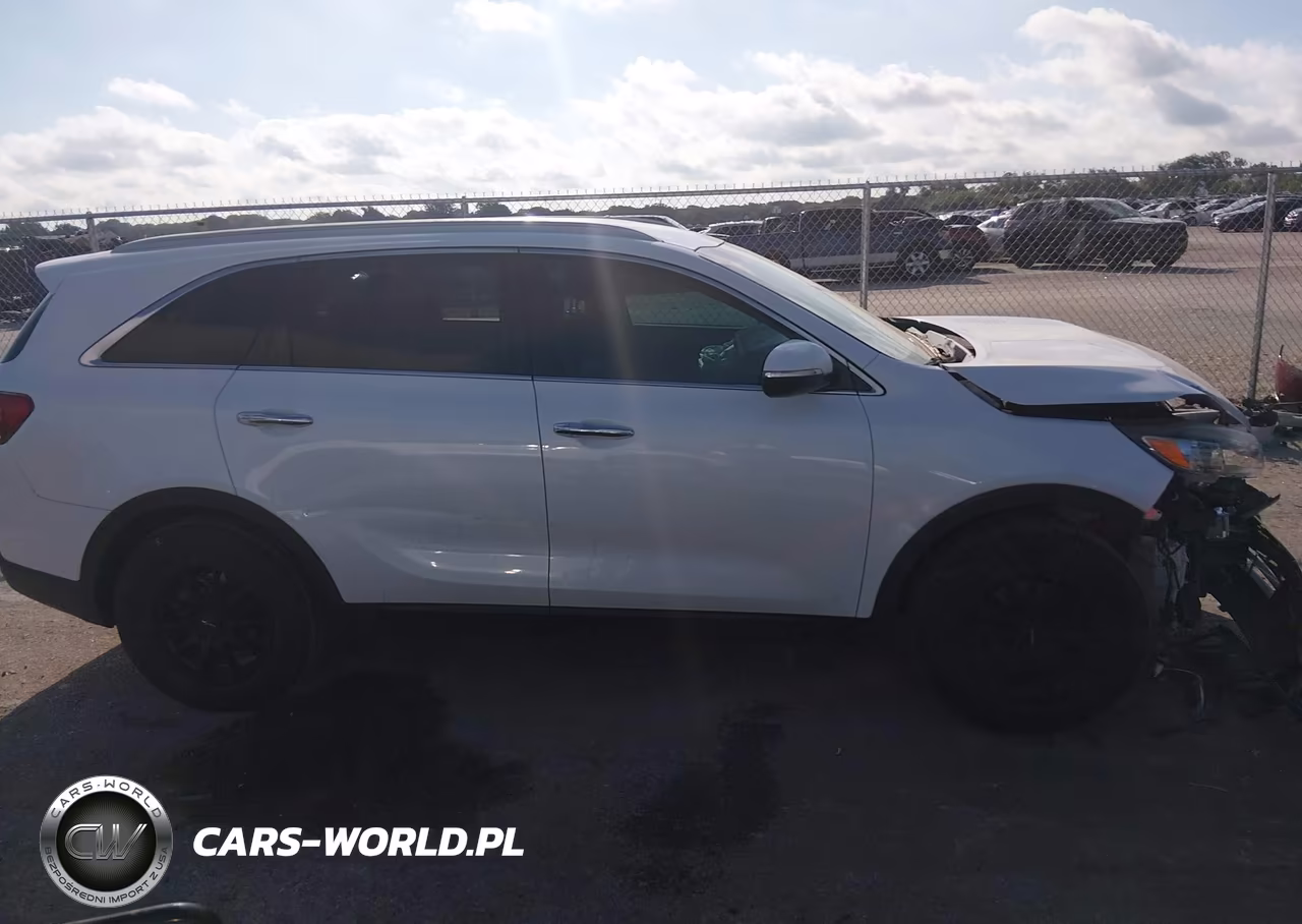 2018 Kia Sorento 2.4L Lx VIN:5XYPG4A30JG384948 - 13