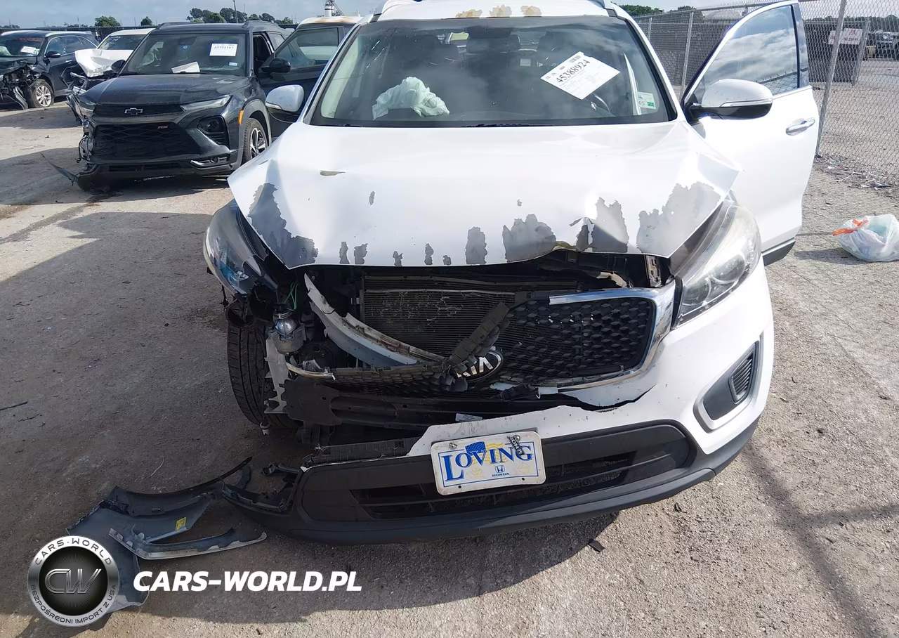 2018 Kia Sorento 2.4L Lx VIN:5XYPG4A30JG384948 - 6