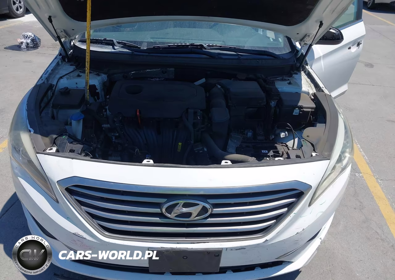 2016 Hyundai Sonata Se VIN:5NPE24AF9GH316729 - 10