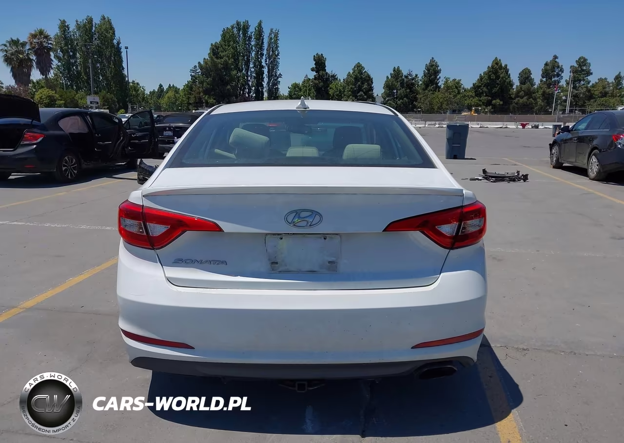 2016 Hyundai Sonata Se VIN:5NPE24AF9GH316729 - 16