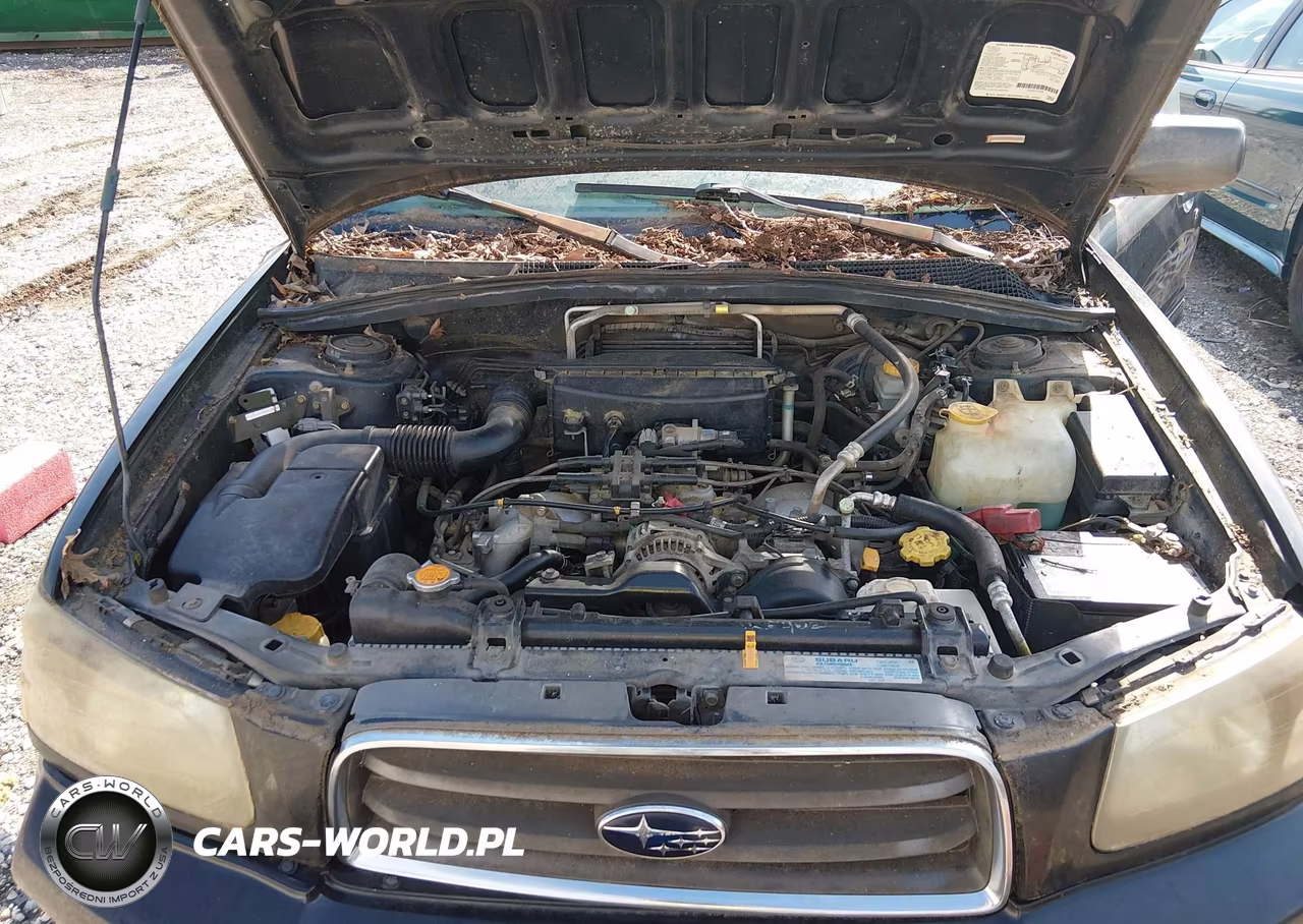 2003 Subaru Forester Xs VIN:JF1SG65623H757837 - 10