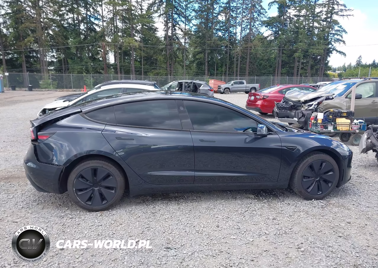 2025 Tesla Model 3 Long Range Rear-Wheel Drive-Standard Rear-Wheel Drive VIN:5YJ3E1EA8SF978028 - 12