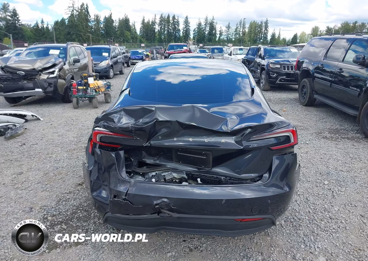 2025 Tesla Model 3 Long Range Rear-Wheel Drive-Standard Rear-Wheel Drive VIN:5YJ3E1EA8SF978028 - 15