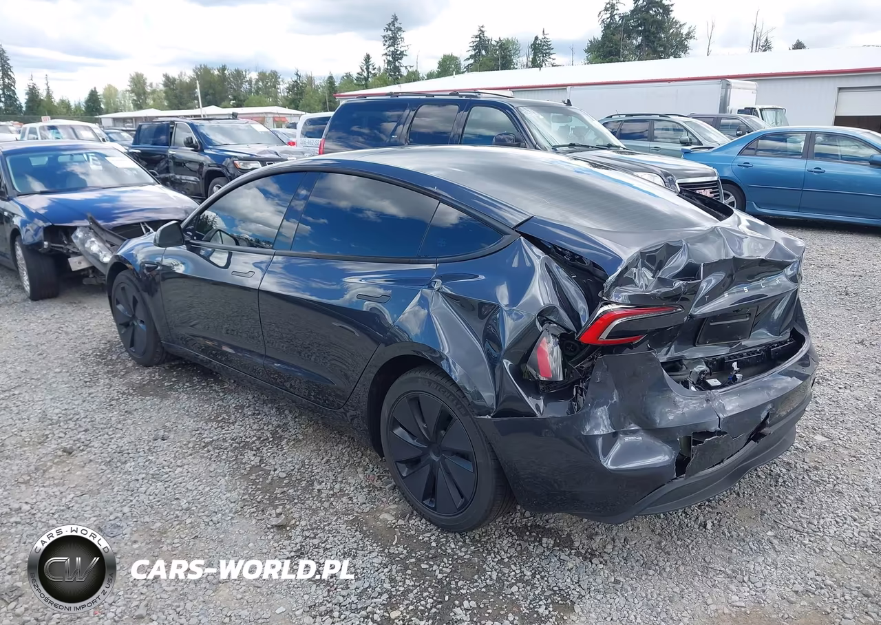 2025 Tesla Model 3 Long Range Rear-Wheel Drive-Standard Rear-Wheel Drive VIN:5YJ3E1EA8SF978028 - 3