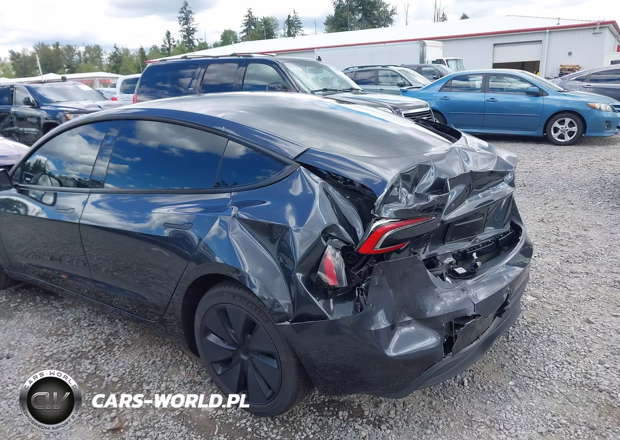 2025 Tesla Model 3 Long Range Rear-Wheel Drive-Standard Rear-Wheel Drive VIN:5YJ3E1EA8SF978028 - 6