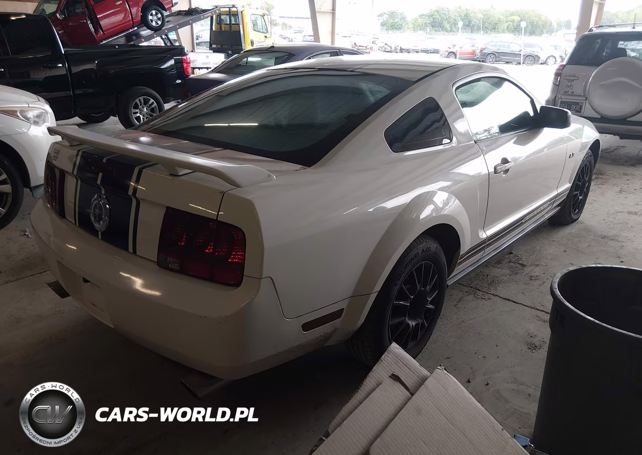 2007 Ford Mustang V6 Deluxe-V6 Premium VIN:1ZVFT80N875198039 - 4