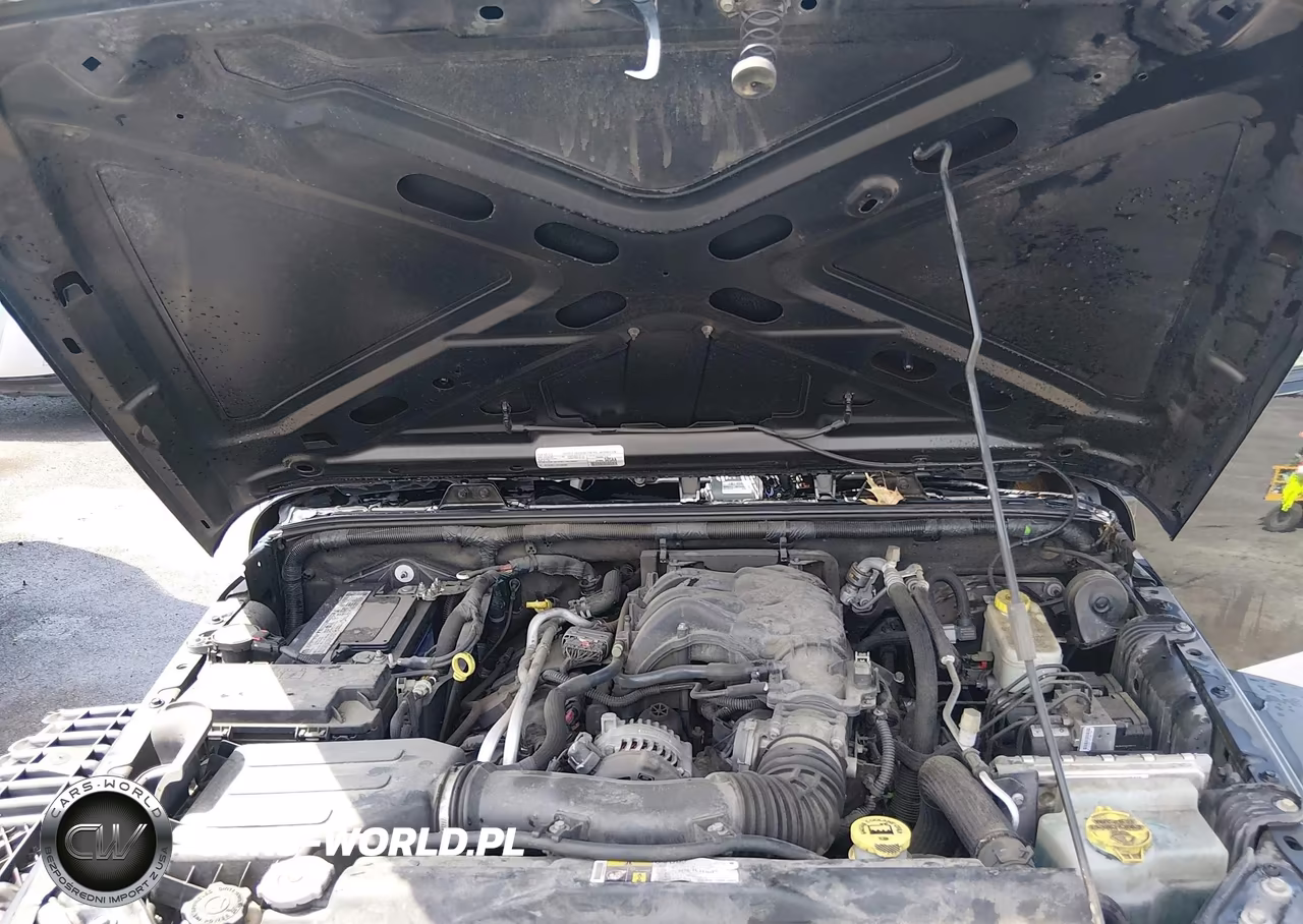 2016 Jeep Wrangler Unlimited Black Bear VIN:1C4BJWDG8GL109265 - 10