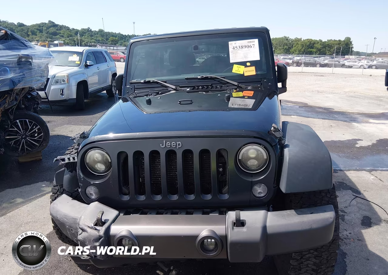2016 Jeep Wrangler Unlimited Black Bear VIN:1C4BJWDG8GL109265 - 12