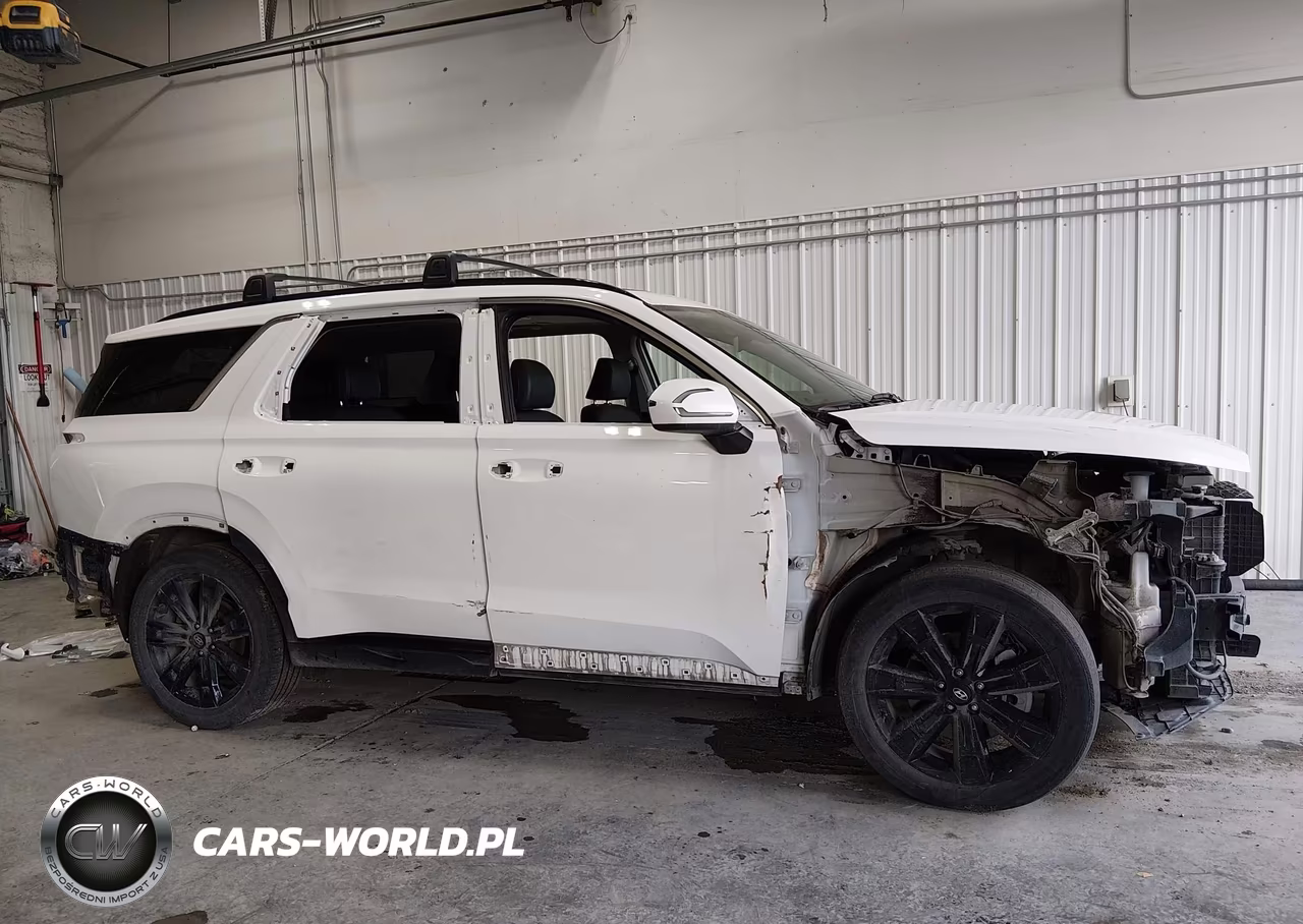 2023 Hyundai Palisade Xrt VIN:KM8R3DGE9PU550741 - 14