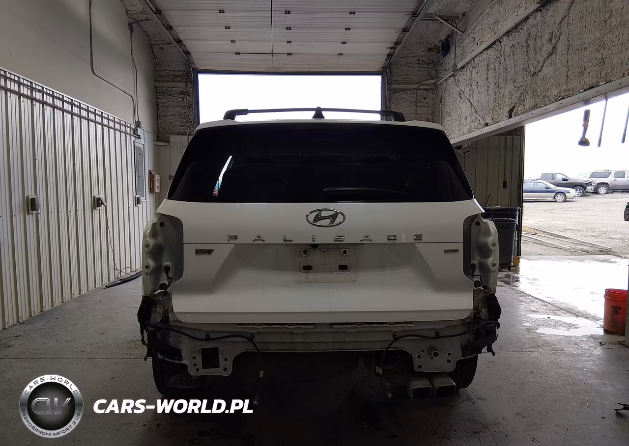 2023 Hyundai Palisade Xrt VIN:KM8R3DGE9PU550741 - 17