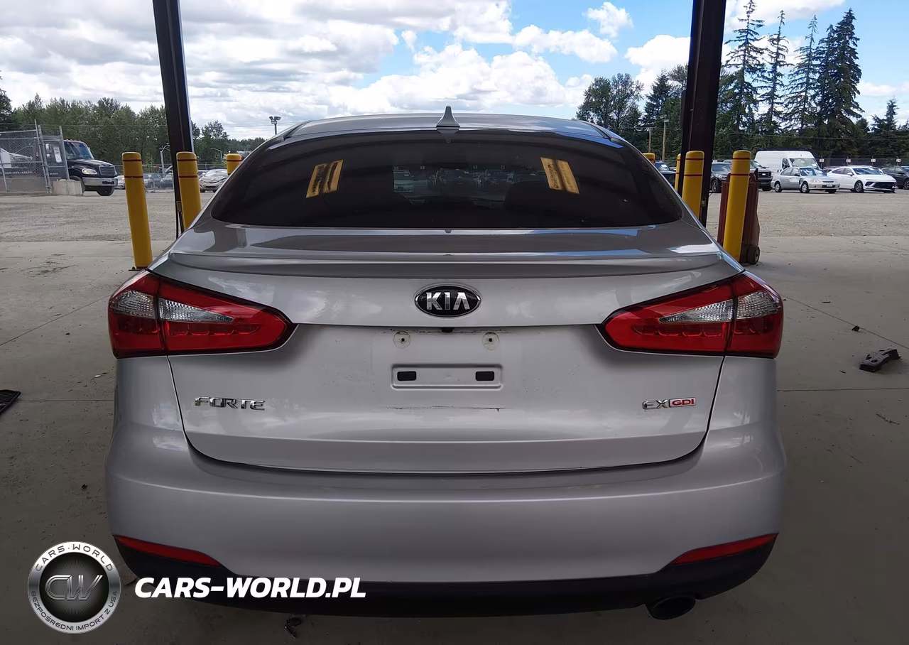 2015 Kia Forte Ex VIN:KNAFZ4A80F5373561 - 17