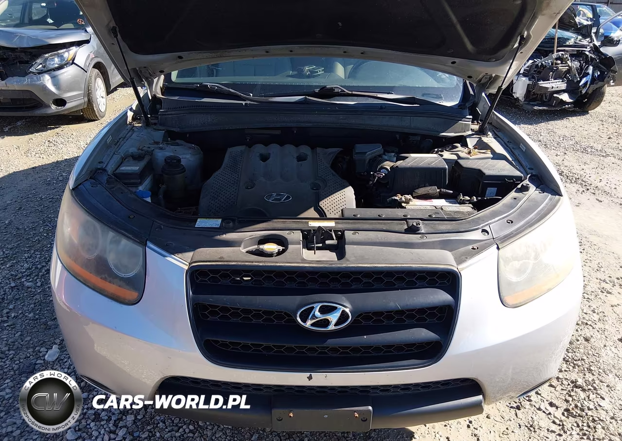 2008 Hyundai Santa Fe Gls VIN:5NMSG13DX8H181628 - 10