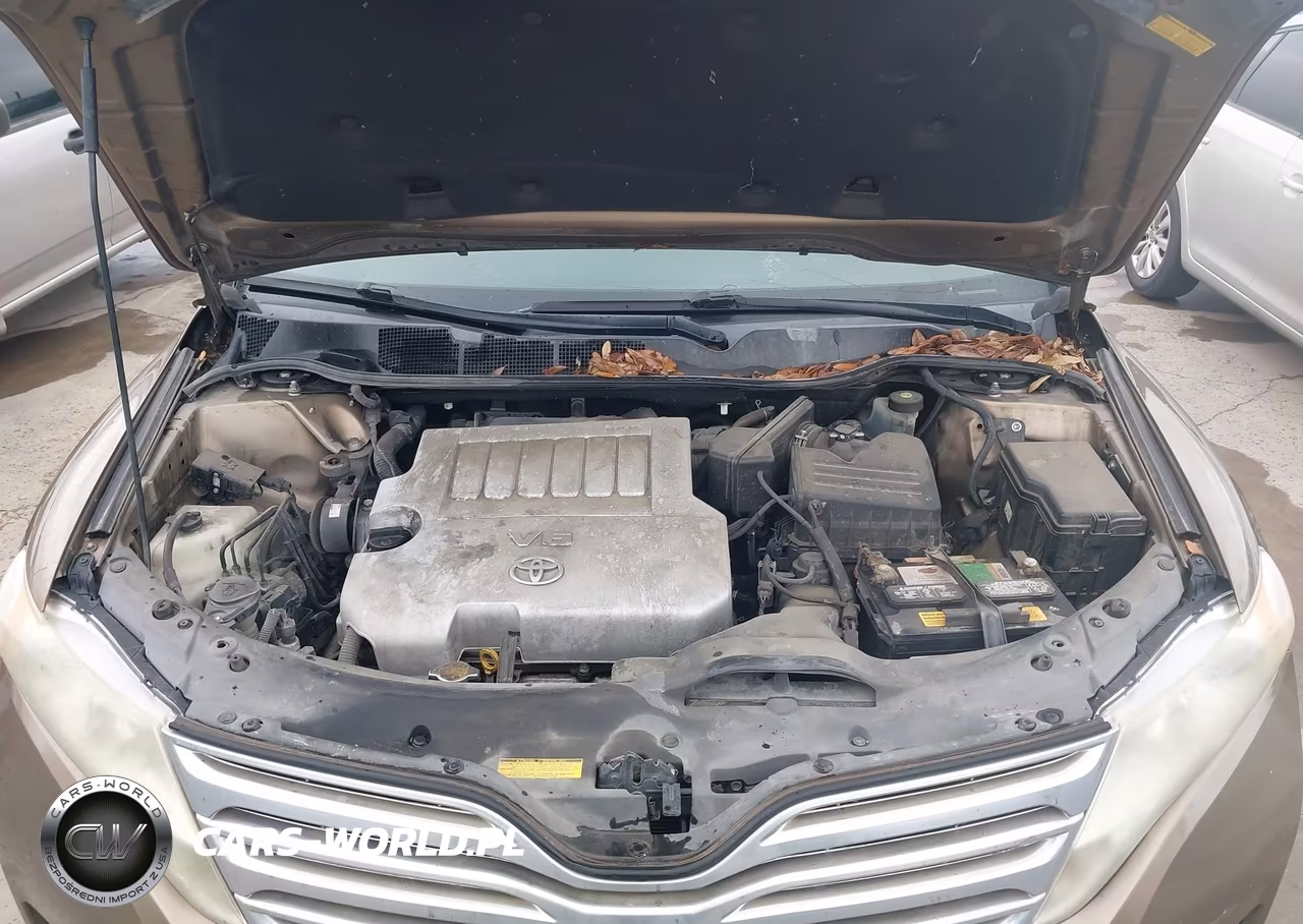 2009 Toyota Venza Base V6 VIN:4T3BK11A89U011594 - 10
