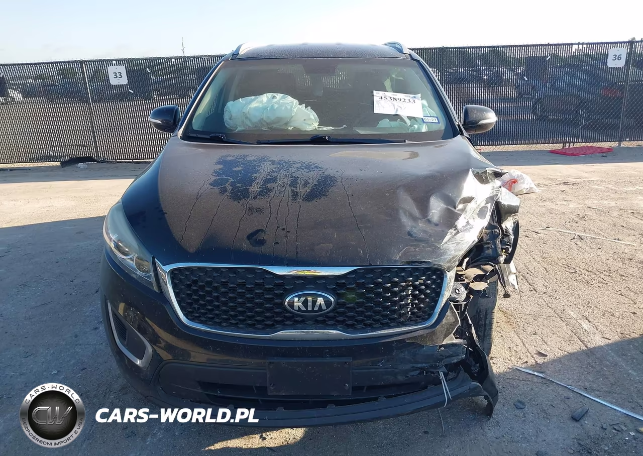 2018 Kia Sorento 2.4L Lx VIN:5XYPG4A39JG376380 - 12