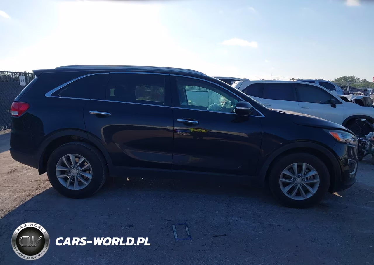 2018 Kia Sorento 2.4L Lx VIN:5XYPG4A39JG376380 - 13