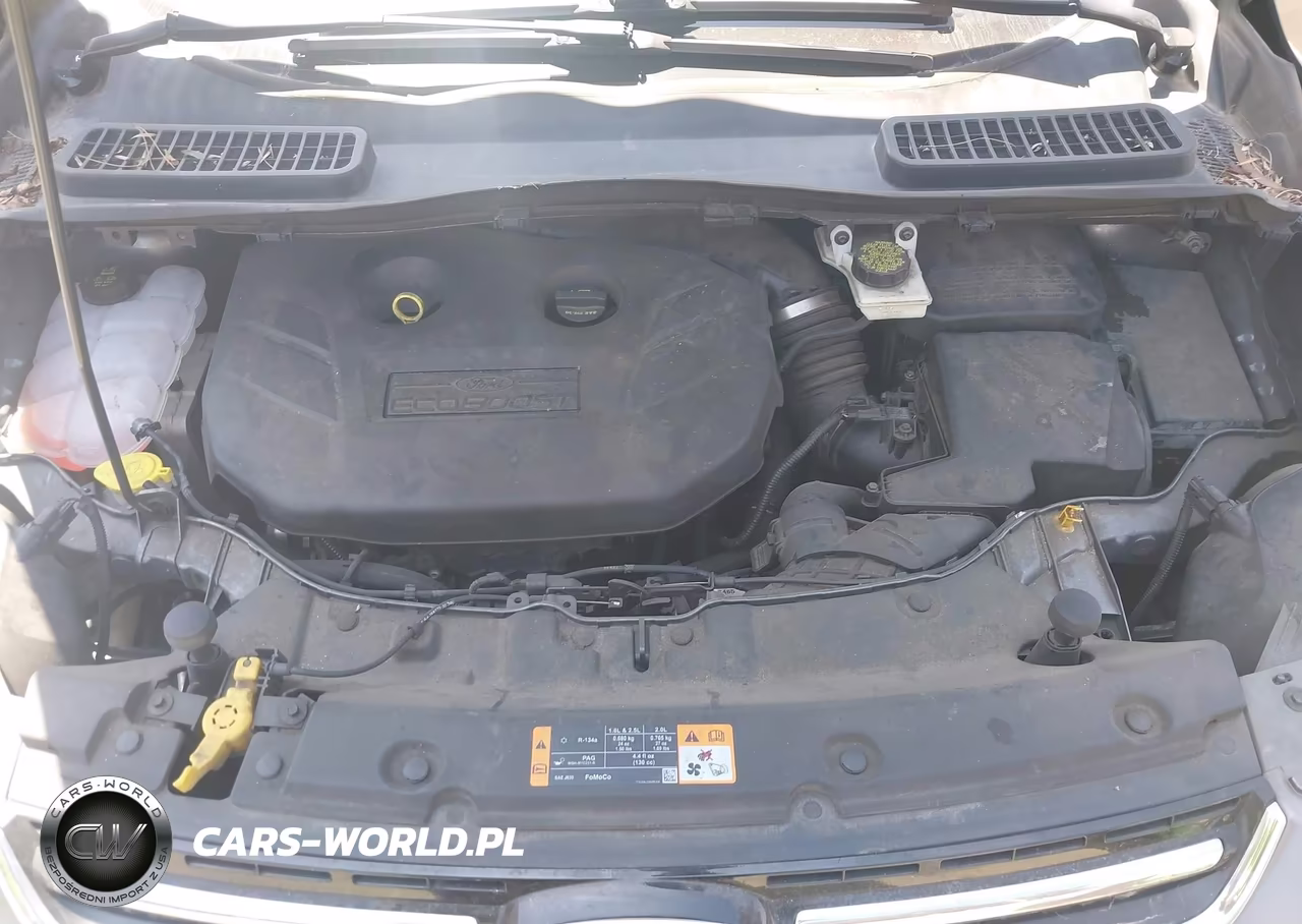 2013 Ford Escape Sel VIN:1FMCU0H99DUC24740 - 10